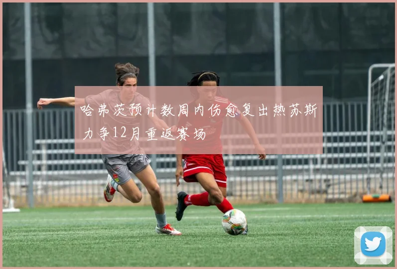 哈弗茨预计数周内伤愈复出热苏斯力争12月重返赛场