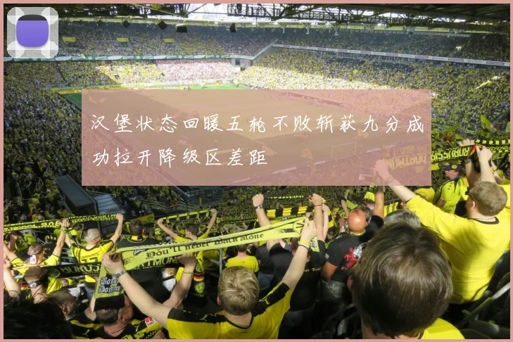 汉堡状态回暖五轮不败斩获九分成功拉开降级区差距